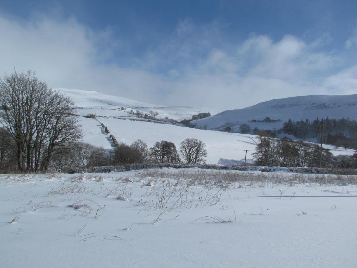 Wild Valley Bunkhouse Llanrhaeadr-ym-Mochnant Dış mekan fotoğraf