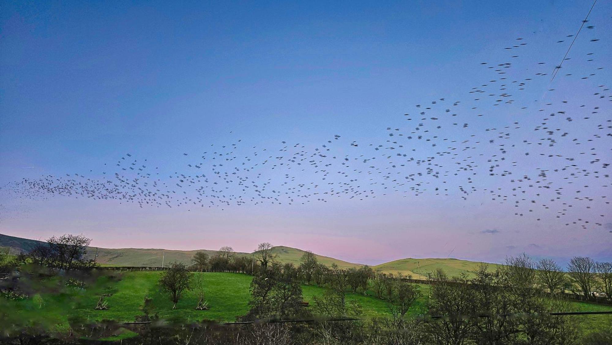Wild Valley Bunkhouse Llanrhaeadr-ym-Mochnant Dış mekan fotoğraf